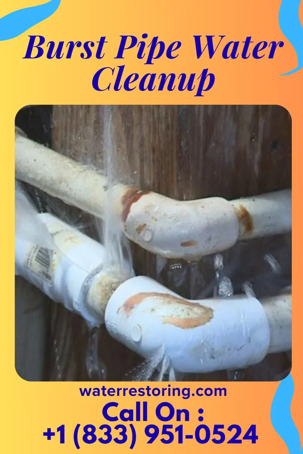 Burst Pipe Water Cleanup in Broadview Heights, OH