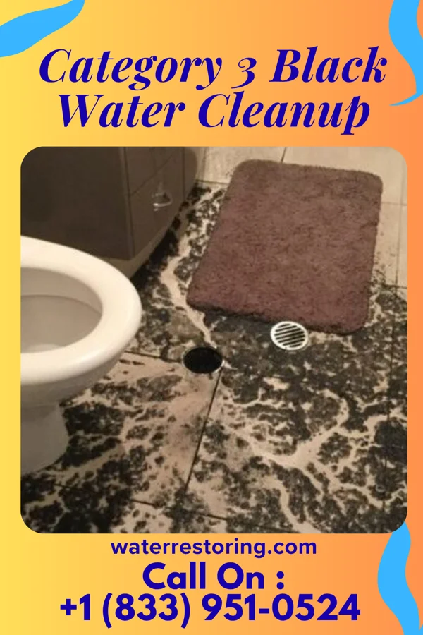 Category 3 Black Water Cleanup in Broadview Heights, OH